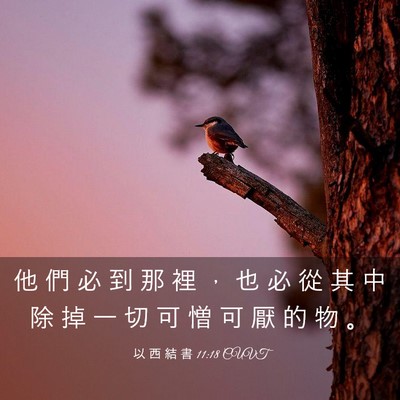 Picture 03 - 以 西 結 書 11:18 CUVT - 他 們 必 到 那 裡 ， 也 必 從 其 中 - Bible Verse Picture