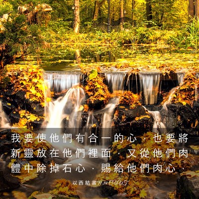 Picture 03 - 以 西 結 書 11:19 CUVT - 我 要 使 他 們 有 合 一 的 心 ， 也 - Bible Verse Picture