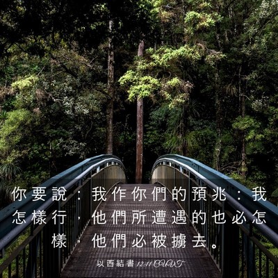 Picture 03 - 以 西 結 書 12:11 CUVT - 你 要 說 ： 我 作 你 們 的 預 兆 ： - Bible Verse Picture
