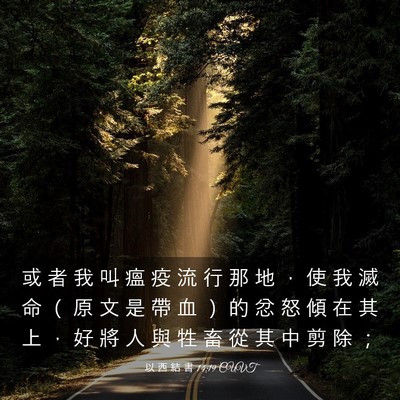 Picture 03 - 以 西 結 書 14:19 CUVT - 或 者 我 叫 瘟 疫 流 行 那 地 ， 使 - Bible Verse Picture