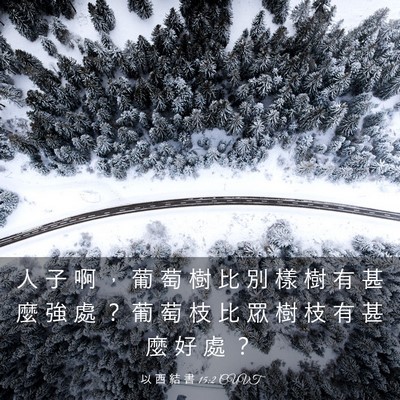 Picture 03 - 以 西 結 書 15:2 CUVT - 人 子 啊 ， 葡 萄 樹 比 別 樣 樹 有 - Bible Verse Picture