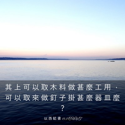 Picture 03 - 以 西 結 書 15:3 CUVT - 其 上 可 以 取 木 料 做 甚 麼 工 用 - Bible Verse Picture