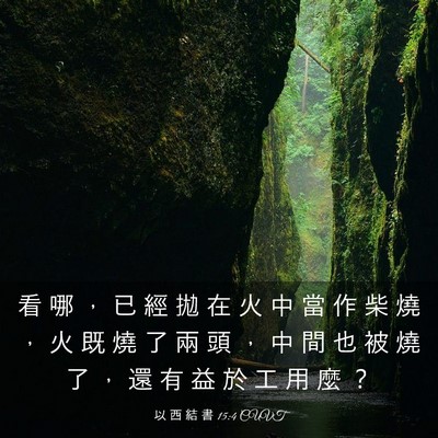 Picture 03 - 以 西 結 書 15:4 CUVT - 看 哪 ， 已 經 拋 在 火 中 當 作 柴 - Bible Verse Picture