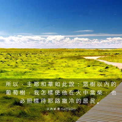 Picture 03 - 以 西 結 書 15:6 CUVT - 所 以 ， 主 耶 和 華 如 此 說 ： 眾 - Bible Verse Picture