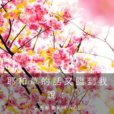 Picture 03 - 以 西 結 書 16:1 CUVT - 耶 和 華 的 話 又 臨 到 我 說 - Bible Verse Picture