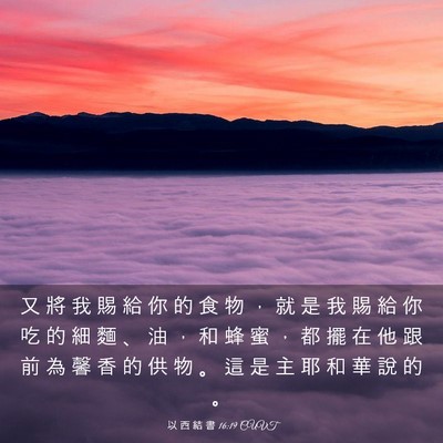 Picture 03 - 以 西 結 書 16:19 CUVT - 又 將 我 賜 給 你 的 食 物 ， 就 是 - Bible Verse Picture
