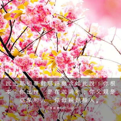 Picture 03 - 以 西 結 書 16:3 CUVT - 說 主 耶 和 華 對 耶 路 撒 冷 如 此 - Bible Verse Picture