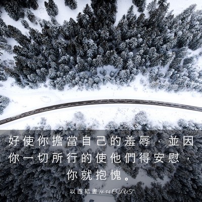 Picture 03 - 以 西 結 書 16:54 CUVT - 好 使 你 擔 當 自 己 的 羞 辱 ， 並 - Bible Verse Picture