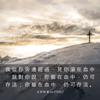 Picture 03 - 以 西 結 書 16:6 CUVT - 我 從 你 旁 邊 經 過 ， 見 你 滾 在 - Bible Verse Picture