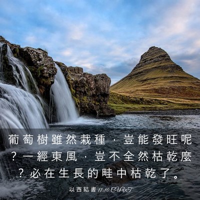 Picture 03 - 以 西 結 書 17:10 CUVT - 葡 萄 樹 雖 然 栽 種 ， 豈 能 發 旺 - Bible Verse Picture