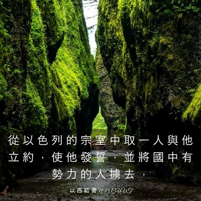 Picture 03 - 以 西 結 書 17:13 CUVT - 從 以 色 列 的 宗 室 中 取 一 人 與 - Bible Verse Picture