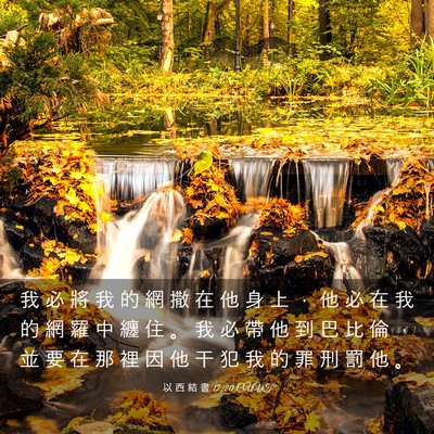 Picture 03 - 以 西 結 書 17:20 CUVT - 我 必 將 我 的 網 撒 在 他 身 上 ， - Bible Verse Picture