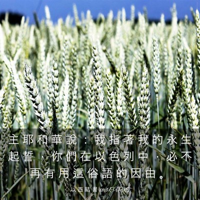 Picture 03 - 以 西 結 書 18:3 CUVT - 主 耶 和 華 說 ： 我 指 著 我 的 永 - Bible Verse Picture