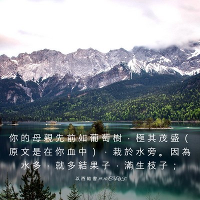 Picture 03 - 以 西 結 書 19:10 CUVT - 你 的 母 親 先 前 如 葡 萄 樹 ， 極 - Bible Verse Picture