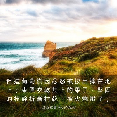Picture 03 - 以 西 結 書 19:12 CUVT - 但 這 葡 萄 樹 因 忿 怒 被 拔 出 摔 - Bible Verse Picture