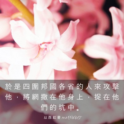 Picture 03 - 以 西 結 書 19:8 CUVT - 於 是 四 圍 邦 國 各 省 的 人 來 攻 - Bible Verse Picture