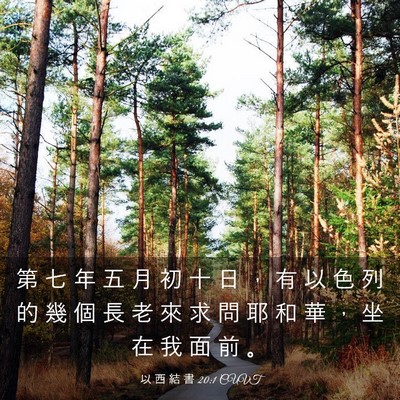 Picture 03 - 以 西 結 書 20:1 CUVT - 第 七 年 五 月 初 十 日 ， 有 以 色 - Bible Verse Picture