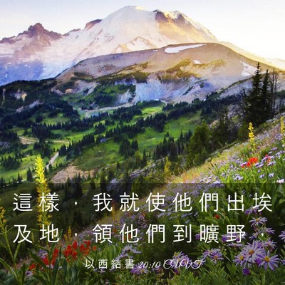 Picture 03 - 以 西 結 書 20:10 CUVT - 這 樣 ， 我 就 使 他 們 出 埃 及 地 - Bible Verse Picture