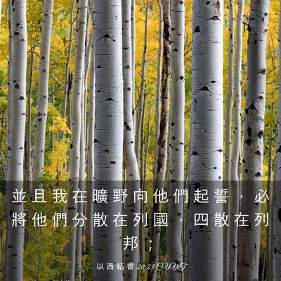 Picture 03 - 以 西 結 書 20:23 CUVT - 並 且 我 在 曠 野 向 他 們 起 誓 ， - Bible Verse Picture