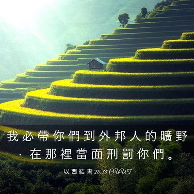 Picture 03 - 以 西 結 書 20:35 CUVT - 我 必 帶 你 們 到 外 邦 人 的 曠 野 - Bible Verse Picture