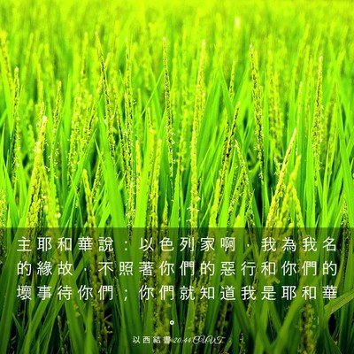 Picture 03 - 以 西 結 書 20:44 CUVT - 主 耶 和 華 說 ： 以 色 列 家 啊 ， - Bible Verse Picture