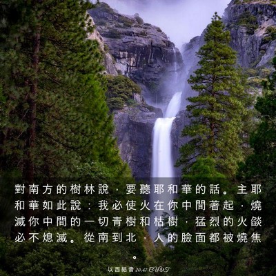 Picture 03 - 以 西 結 書 20:47 CUVT - 對 南 方 的 樹 林 說 ， 要 聽 耶 和 - Bible Verse Picture