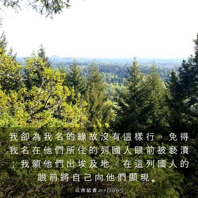 Picture 03 - 以 西 結 書 20:9 CUVT - 我 卻 為 我 名 的 緣 故 沒 有 這 樣 - Bible Verse Picture