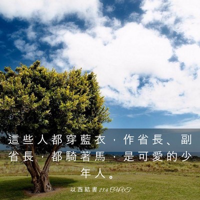 Picture 03 - 以 西 結 書 23:6 CUVT - 這 些 人 都 穿 藍 衣 ， 作 省 長 、 - Bible Verse Picture