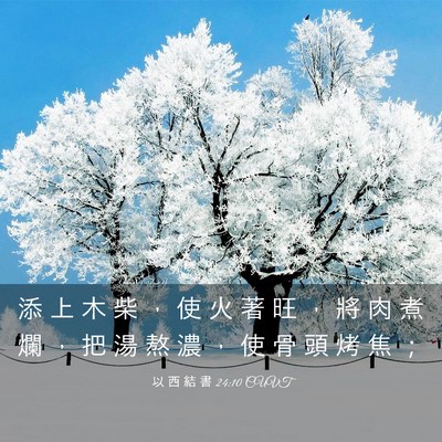 Picture 03 - 以 西 結 書 24:10 CUVT - 添 上 木 柴 ， 使 火 著 旺 ， 將 肉 - Bible Verse Picture