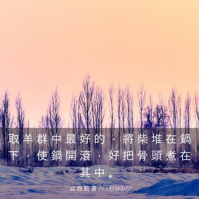 Picture 03 - 以 西 結 書 24:5 CUVT - 取 羊 群 中 最 好 的 ， 將 柴 堆 在 - Bible Verse Picture