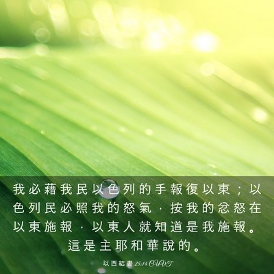 Picture 03 - 以 西 結 書 25:14 CUVT - 我 必 藉 我 民 以 色 列 的 手 報 復 - Bible Verse Picture