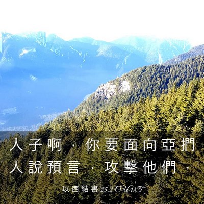 Picture 03 - 以 西 結 書 25:2 CUVT - 人 子 啊 ， 你 要 面 向 亞 捫 人 說 - Bible Verse Picture
