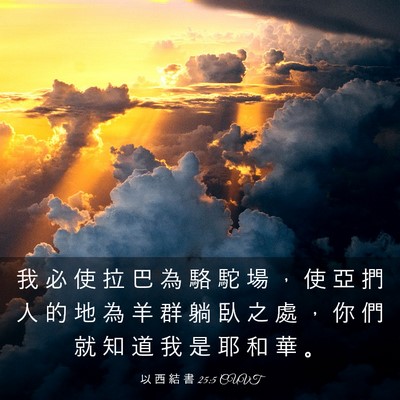 Picture 03 - 以 西 結 書 25:5 CUVT - 我 必 使 拉 巴 為 駱 駝 場 ， 使 亞 - Bible Verse Picture