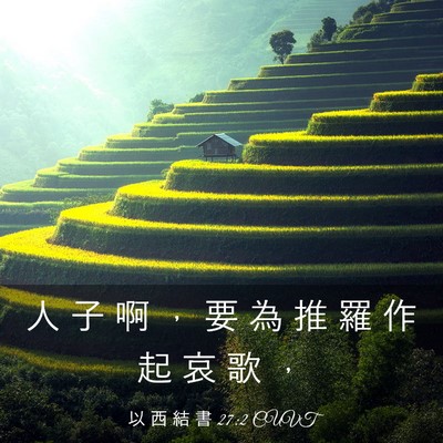 Picture 03 - 以 西 結 書 27:2 CUVT - 人 子 啊 ， 要 為 推 羅 作 起 哀 歌 - Bible Verse Picture