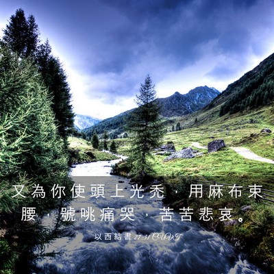 Picture 03 - 以 西 結 書 27:31 CUVT - 又 為 你 使 頭 上 光 禿 ， 用 麻 布 - Bible Verse Picture