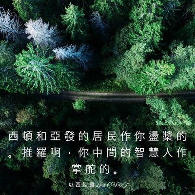 Picture 03 - 以 西 結 書 27:8 CUVT - 西 頓 和 亞 發 的 居 民 作 你 盪 槳 - Bible Verse Picture