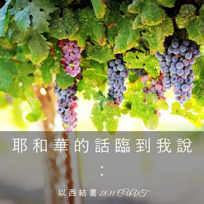 Picture 03 - 以 西 結 書 28:11 CUVT - 耶 和 華 的 話 臨 到 我 說 - Bible Verse Picture