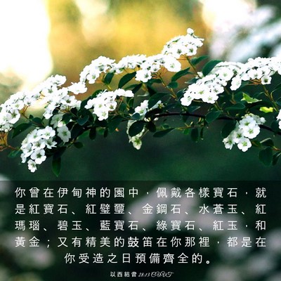 Picture 03 - 以 西 結 書 28:13 CUVT - 你 曾 在 伊 甸 神 的 園 中 ， 佩 戴 - Bible Verse Picture