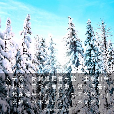 Picture 03 - 以 西 結 書 28:2 CUVT - 人 子 啊 ， 你 對 推 羅 君 王 說 ， - Bible Verse Picture