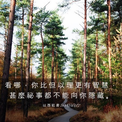 Picture 03 - 以 西 結 書 28:3 CUVT - 看 哪 ， 你 比 但 以 理 更 有 智 慧 - Bible Verse Picture