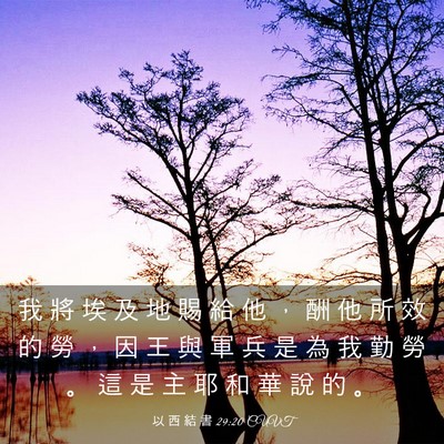 Picture 03 - 以 西 結 書 29:20 CUVT - 我 將 埃 及 地 賜 給 他 ， 酬 他 所 - Bible Verse Picture