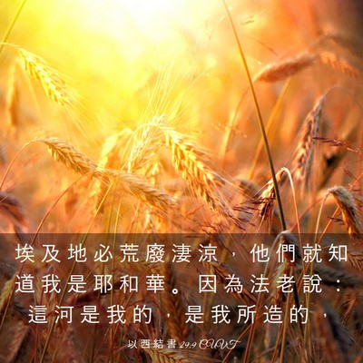 Picture 03 - 以 西 結 書 29:9 CUVT - 埃 及 地 必 荒 廢 淒 涼 ， 他 們 就 - Bible Verse Picture
