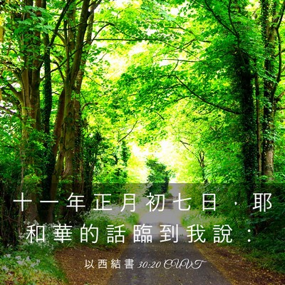 Picture 03 - 以 西 結 書 30:20 CUVT - 十 一 年 正 月 初 七 日 ， 耶 和 華 - Bible Verse Picture