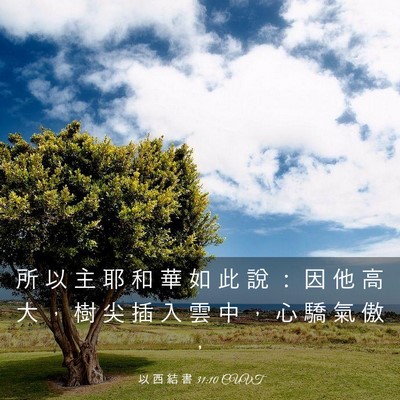 Picture 03 - 以 西 結 書 31:10 CUVT - 所 以 主 耶 和 華 如 此 說 ： 因 他 - Bible Verse Picture