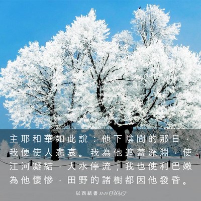 Picture 03 - 以 西 結 書 31:15 CUVT - 主 耶 和 華 如 此 說 ： 他 下 陰 間 - Bible Verse Picture