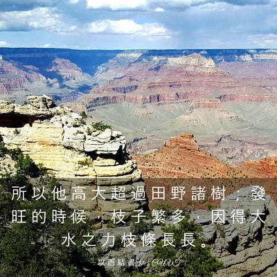 Picture 03 - 以 西 結 書 31:5 CUVT - 所 以 他 高 大 超 過 田 野 諸 樹 ； - Bible Verse Picture