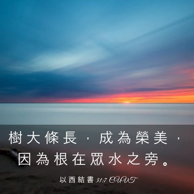 Picture 03 - 以 西 結 書 31:7 CUVT - 樹 大 條 長 ， 成 為 榮 美 ， 因 為 - Bible Verse Picture