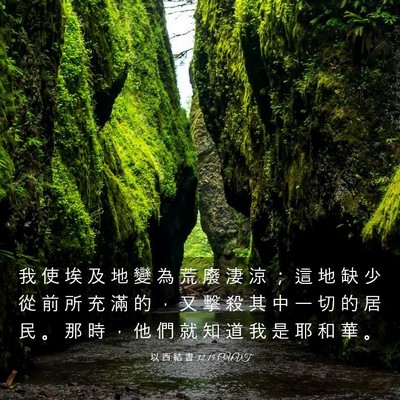 Picture 03 - 以 西 結 書 32:15 CUVT - 我 使 埃 及 地 變 為 荒 廢 淒 涼 ； - Bible Verse Picture