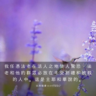Picture 03 - 以 西 結 書 32:32 CUVT - 我 任 憑 法 老 在 活 人 之 地 使 人 - Bible Verse Picture