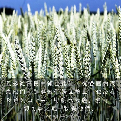 Picture 03 - 以 西 結 書 34:13 CUVT - 我 必 從 萬 民 中 領 出 他 們 ， 從 - Bible Verse Picture